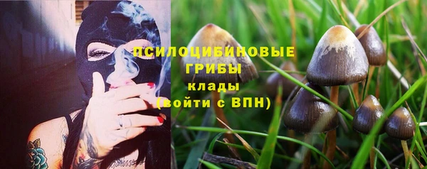 ешки Абаза
