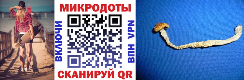 Галлюциногенные грибы GOLDEN TEACHER  kraken сайт  Алзамай 