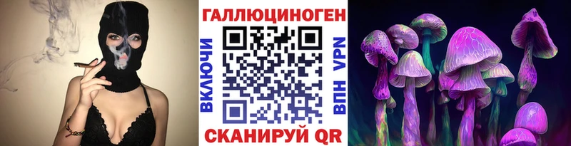 Псилоцибиновые грибы Psilocybe Алзамай
